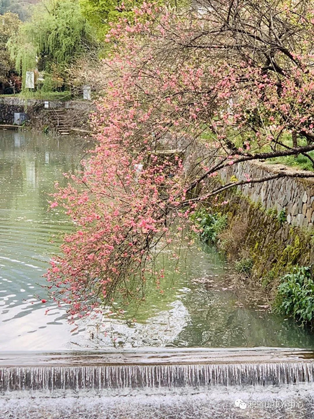 1593673316641862.jpg ΢ÐÅͼƬ_20200702143817_¸±±¾.jpg